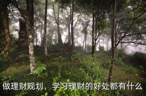 做理財規(guī)劃，學(xué)習(xí)理財?shù)暮锰幎加惺裁? class=