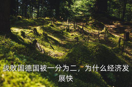 戰(zhàn)敗國德國被一分為二，為什么經(jīng)濟(jì)發(fā)展快