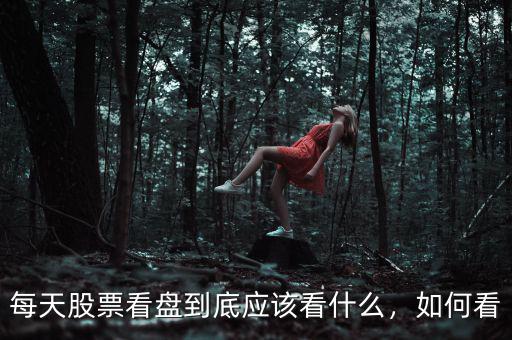 每天股票看盤到底應(yīng)該看什么，如何看