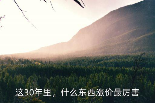 這30年里，什么東西漲價最厲害