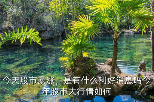 今天股市暴漲，是有什么利好消息嗎今年股市大行情如何