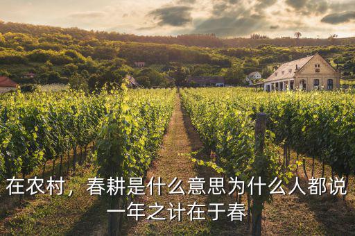在農(nóng)村，春耕是什么意思為什么人都說(shuō)一年之計(jì)在于春