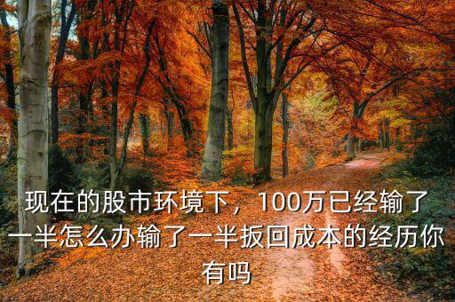 現(xiàn)在的股市環(huán)境下，100萬已經(jīng)輸了一半怎么辦輸了一半扳回成本的經(jīng)歷你有嗎