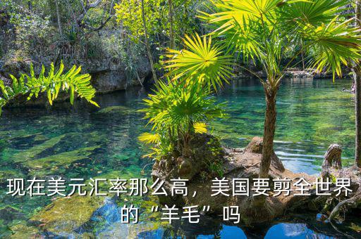 現(xiàn)在美元匯率那么高，美國要剪全世界的“羊毛”嗎
