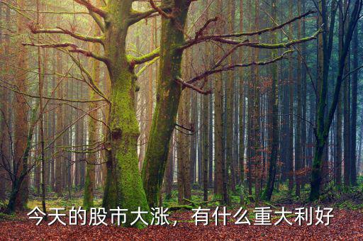 今天的股市大漲，有什么重大利好