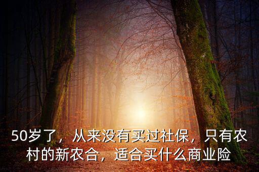 50歲了，從來沒有買過社保，只有農(nóng)村的新農(nóng)合，適合買什么商業(yè)險