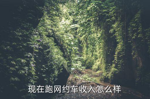 現(xiàn)在跑網(wǎng)約車(chē)收入怎么樣