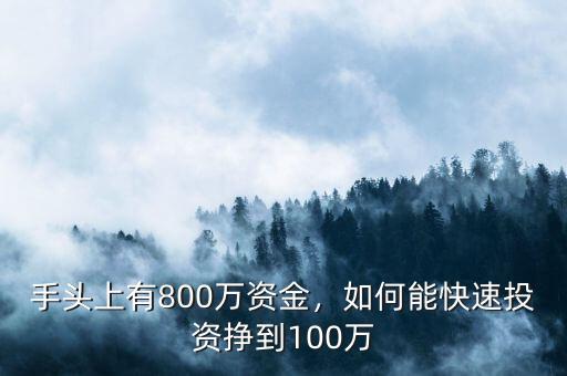 手頭上有800萬資金，如何能快速投資掙到100萬