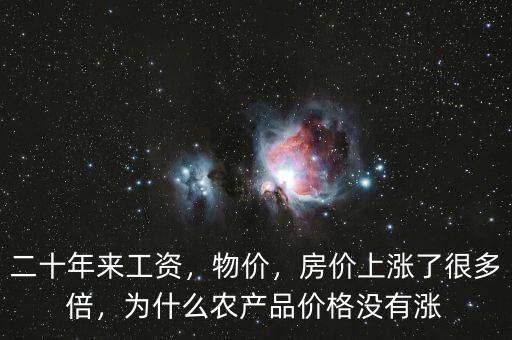 二十年來工資，物價(jià)，房?jī)r(jià)上漲了很多倍，為什么農(nóng)產(chǎn)品價(jià)格沒有漲
