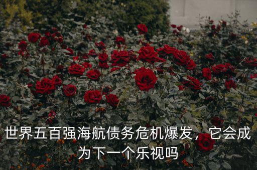 世界五百強(qiáng)海航債務(wù)危機(jī)爆發(fā)，它會成為下一個樂視嗎