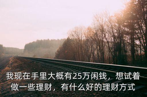 我現(xiàn)在手里大概有25萬閑錢，想試著做一些理財，有什么好的理財方式