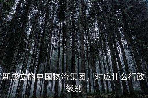 新成立的中國(guó)物流集團(tuán)，對(duì)應(yīng)什么行政級(jí)別