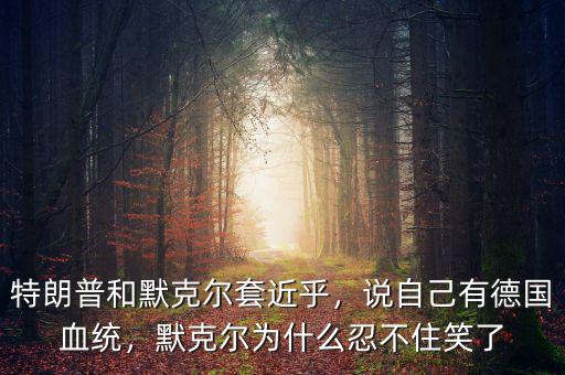 特朗普和默克爾套近乎，說自己有德國血統(tǒng)，默克爾為什么忍不住笑了
