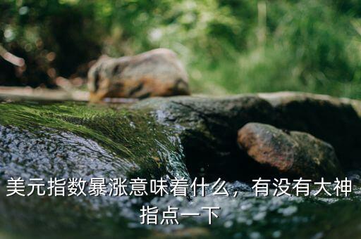 美元指數(shù)暴漲意味著什么，有沒有大神指點一下