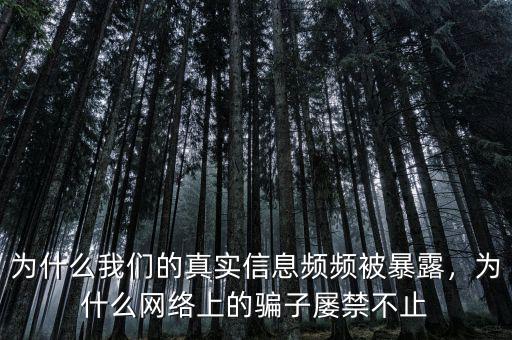 為什么我們的真實(shí)信息頻頻被暴露，為什么網(wǎng)絡(luò)上的騙子屢禁不止