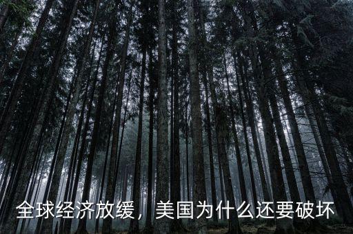 全球經(jīng)濟(jì)放緩，美國為什么還要破壞