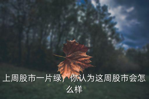 上周股市一片綠，你認(rèn)為這周股市會(huì)怎么樣