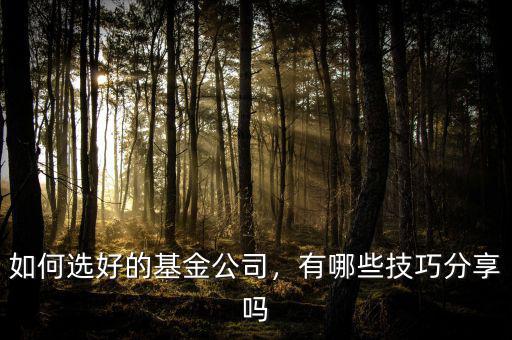 如何選好的基金公司，有哪些技巧分享嗎