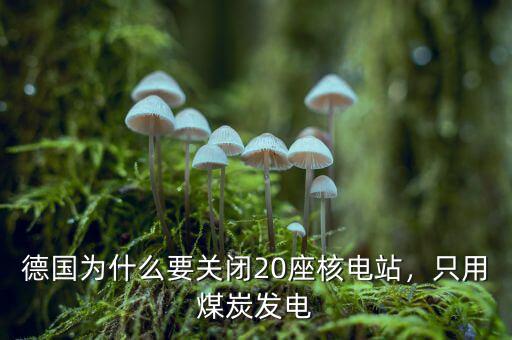德國為什么要關閉20座核電站，只用煤炭發(fā)電