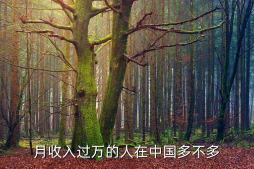 月收入過萬(wàn)的人在中國(guó)多不多