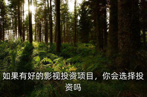 如果有好的影視投資項目，你會選擇投資嗎