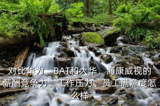 桐廬?？低曉趺礃?員工滿意度怎么樣