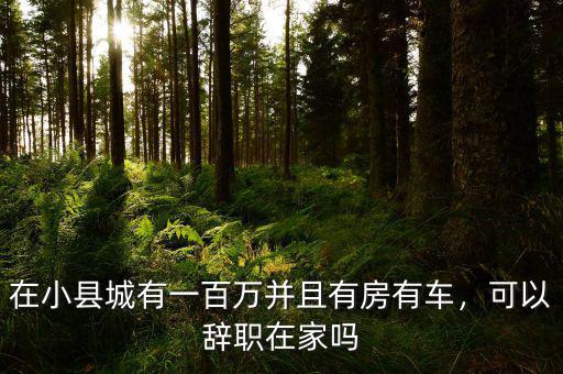 在小縣城有一百萬并且有房有車，可以辭職在家嗎