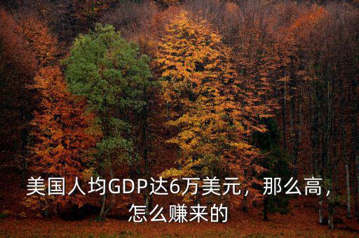 美國人均GDP達(dá)6萬美元，那么高，怎么賺來的