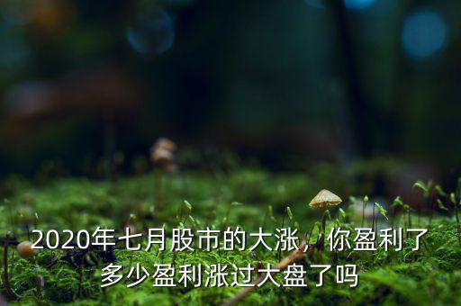 2020年七月股市的大漲，你盈利了多少盈利漲過大盤了嗎