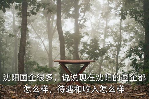 沈陽國企很多，說說現(xiàn)在沈陽的國企都怎么樣，待遇和收入怎么樣
