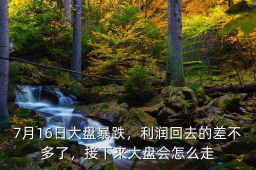 7月16日大盤暴跌，利潤回去的差不多了，接下來大盤會怎么走