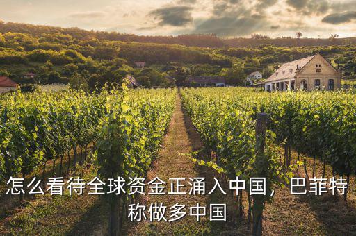 怎么看待全球資金正涌入中國，巴菲特稱做多中國