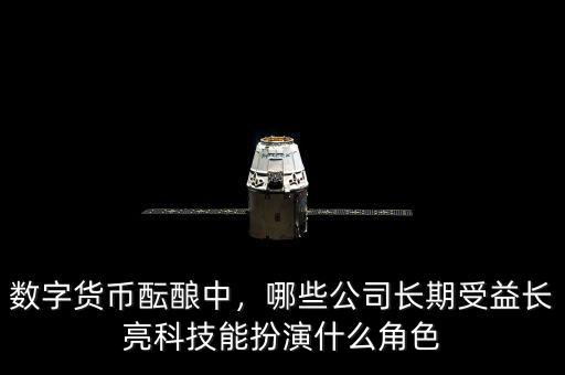 數(shù)字貨幣醞釀中，哪些公司長期受益長亮科技能扮演什么角色