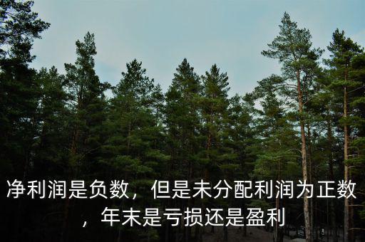 凈利潤是負數(shù)，但是未分配利潤為正數(shù)，年末是虧損還是盈利