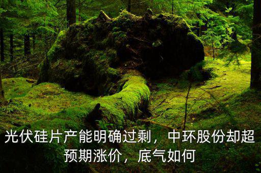 光伏硅片產(chǎn)能明確過剩，中環(huán)股份卻超預(yù)期漲價(jià)，底氣如何