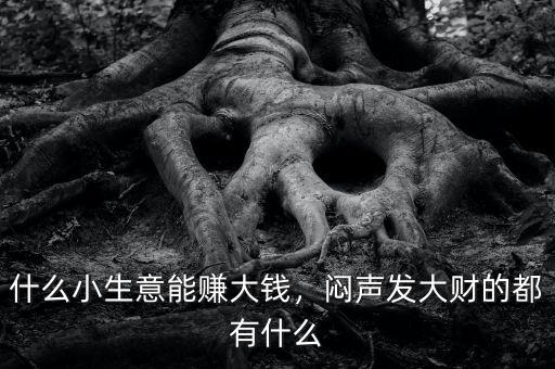 什么小生意能賺大錢，悶聲發(fā)大財?shù)亩加惺裁? class=