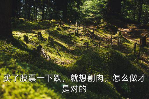 買了股票一下跌，就想割肉，怎么做才是對的