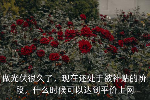 做光伏很久了，現(xiàn)在還處于被補(bǔ)貼的階段，什么時(shí)候可以達(dá)到平價(jià)上網(wǎng)