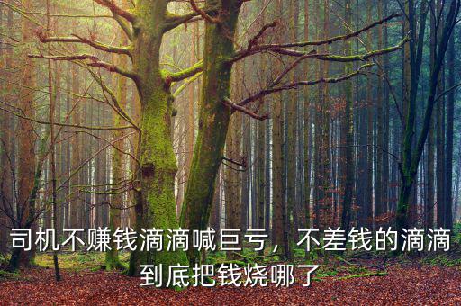 司機(jī)不賺錢(qián)滴滴喊巨虧，不差錢(qián)的滴滴到底把錢(qián)燒哪了