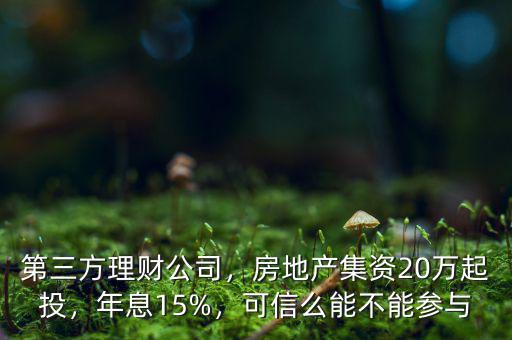 第三方理財公司，房地產(chǎn)集資20萬起投，年息15%，可信么能不能參與
