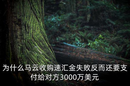 為什么馬云收購(gòu)速匯金失敗反而還要支付給對(duì)方3000萬(wàn)美元