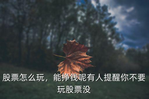 股票怎么玩，能掙錢呢有人提醒你不要玩股票沒