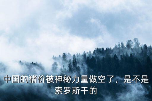 中國(guó)的豬價(jià)被神秘力量做空了，是不是索羅斯干的