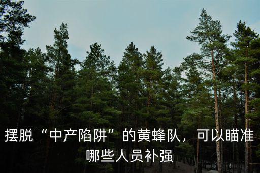 擺脫“中產(chǎn)陷阱”的黃蜂隊(duì)，可以瞄準(zhǔn)哪些人員補(bǔ)強(qiáng)