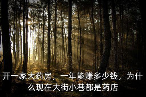 開一家大藥房，一年能賺多少錢，為什么現(xiàn)在大街小巷都是藥店