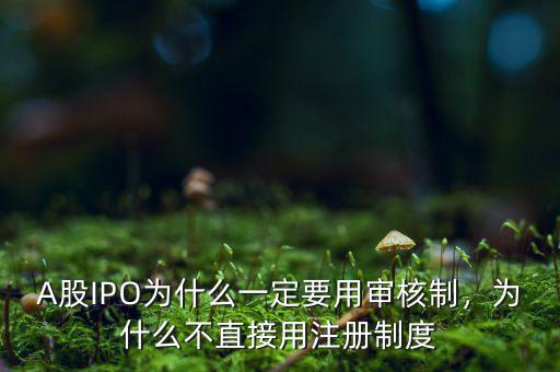A股IPO為什么一定要用審核制，為什么不直接用注冊(cè)制度