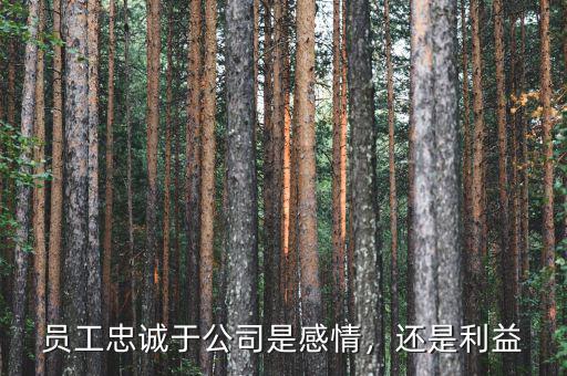 員工忠誠(chéng)于公司是感情，還是利益