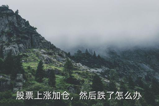 股票上漲加倉(cāng)，然后跌了怎么辦
