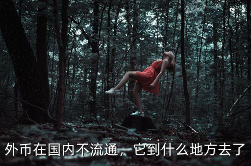 外幣在國(guó)內(nèi)不流通，它到什么地方去了