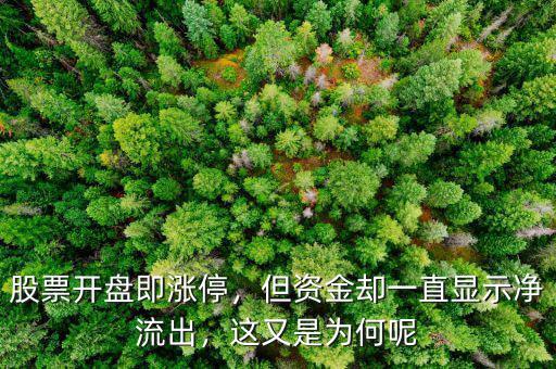 股票開盤即漲停，但資金卻一直顯示凈流出，這又是為何呢